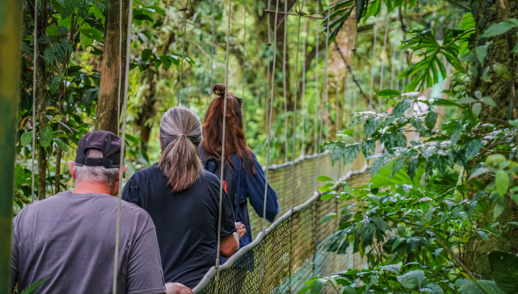 Hanging Bridges and Sloths Experience
