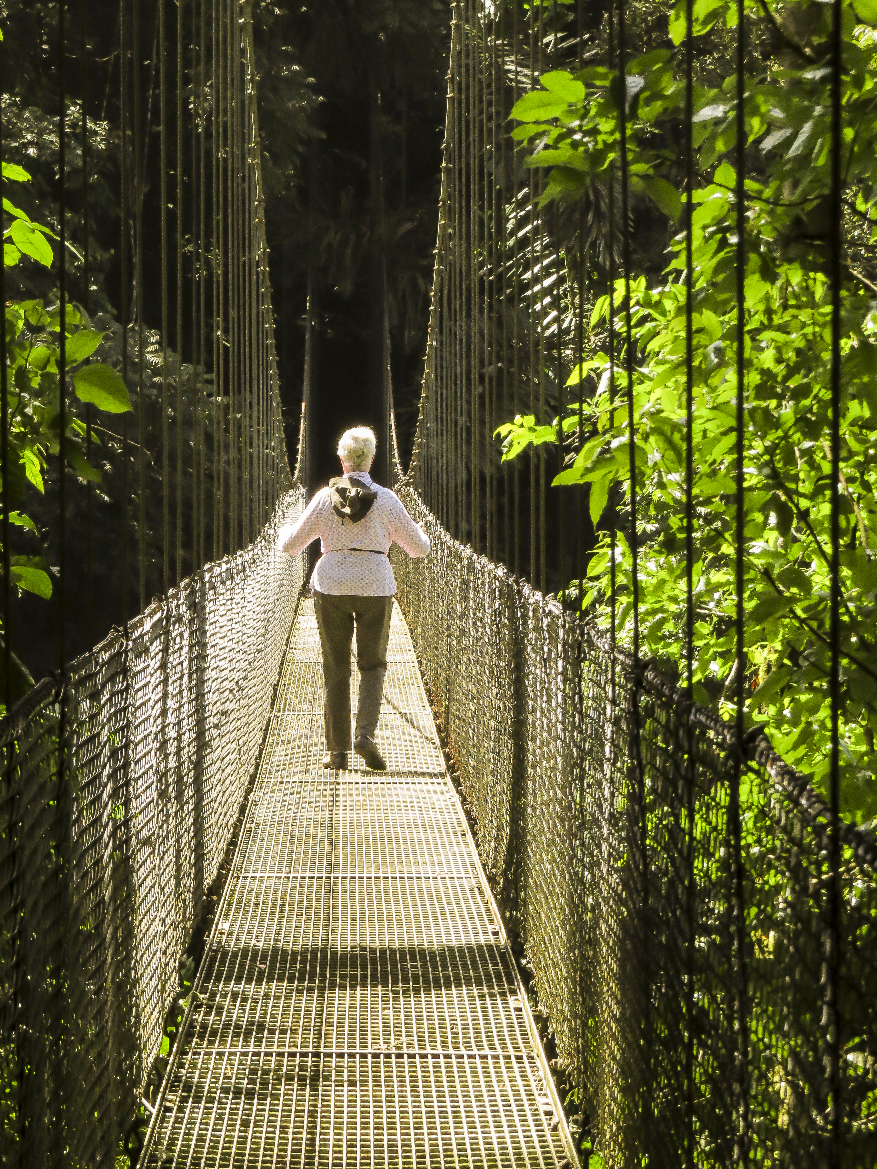 Mistico Hanging Bridges (Arenal)