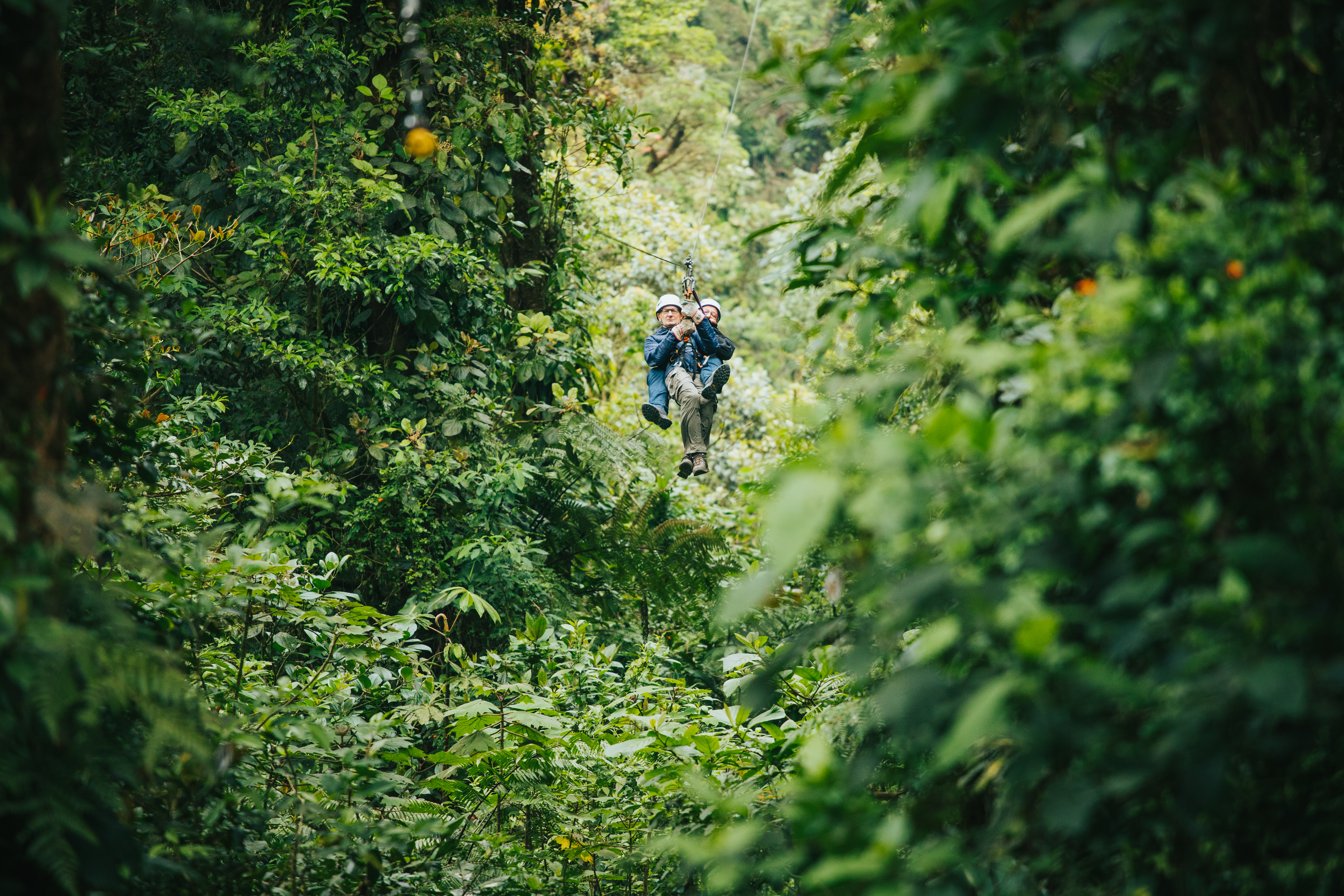 Monteverde Treetop Walk
