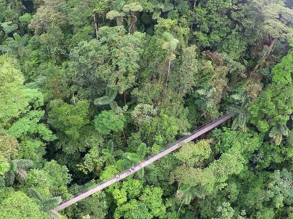 Arenal Hanging Bridges